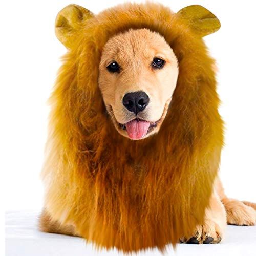 SunGrow Lion Mane-paryk med ører, fotorekvisit, fancy kostume til store hunde og katte, perfekt løvehue til halloween-fester, realistisk, sjov, sød hovedbeklædning, yndig gaveindstilling til dyreelskere, 1-pc
