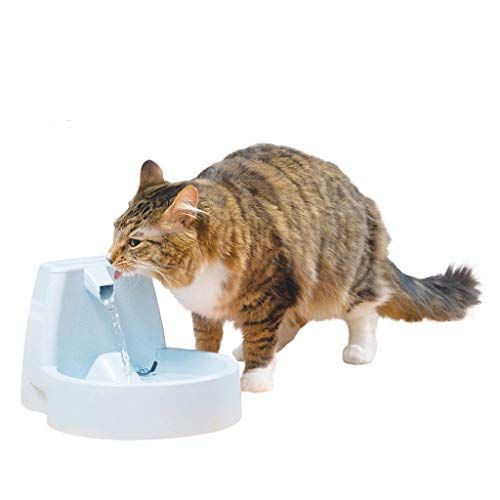 PetSafe Drinkwell Original Pet Fountain, 50 oz Capacity Fresh Filtered Water Dispenser for Cats and Medium Sized Dogs, Included Filters, Grey, 3.12 lbs (White Box Packaging)