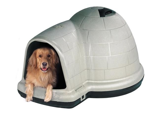 rumah anjing igloo