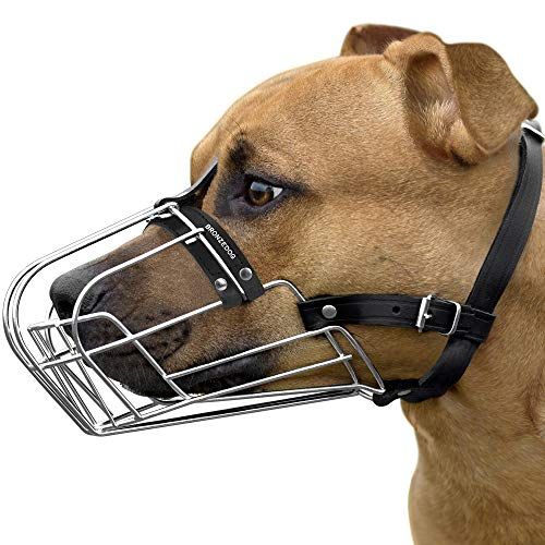 BRONZEDOG Pitbull Dog Muzzle Wire Basket Amstaff Pit Bull Metal Mask அனுசரிப்பு தோல் பட்டைகள் (M)