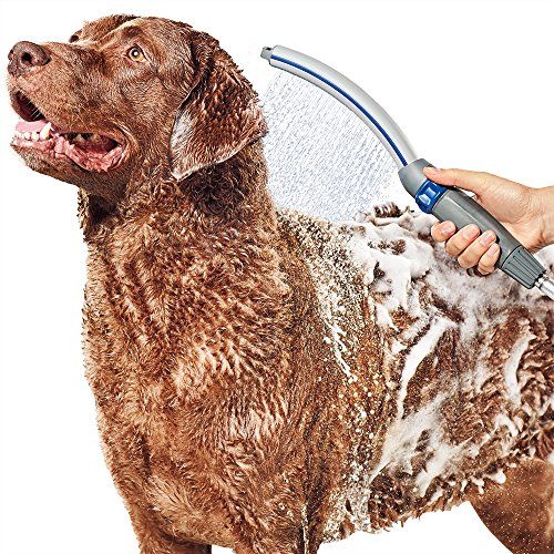 Waterpik PPR-252 Pet Wand Pro Shower Sprayer Attachment, 2,5 GPM, til hurtig og nem rengøring af hunde, blå/grå