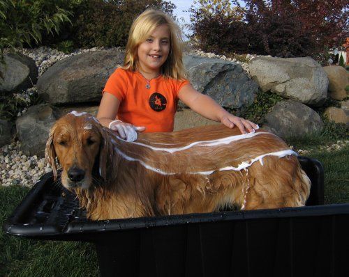 Šveitimas „Dub Dog Pet“ maudymosi sistema