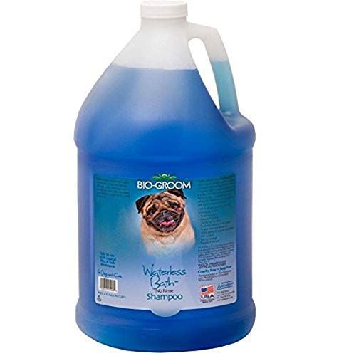 Shampooing pour le bain sans eau pour chats et chiens Bio-Groom, 1 gallon