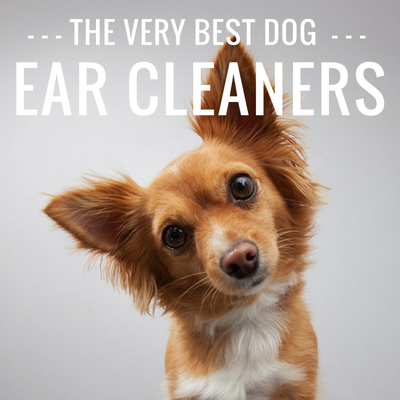 4 Pembersih Telinga Anjing Terbaik: Dari Cecair hingga Lap!