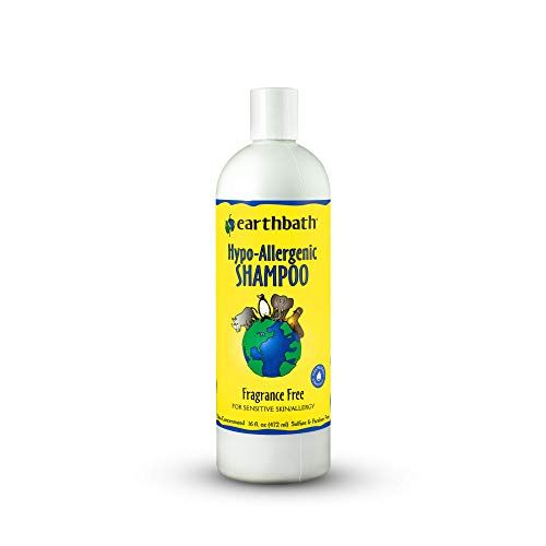 earthbath Hypoallergenic Dog Shampoo, Duftfri, 16 oz - Kæledyrshampoo til følsom hud og allergier - Lavet i USA