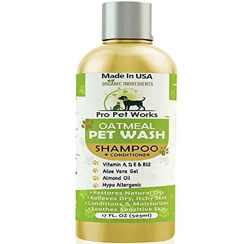 Meilleur shampoing pour chiens allergiques : des mousses douces pour votre toutou !