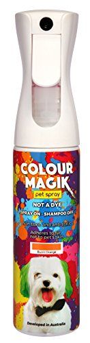 Petway Petcare Spray de peinture pour animaux de compagnie pour chiens 280 ml