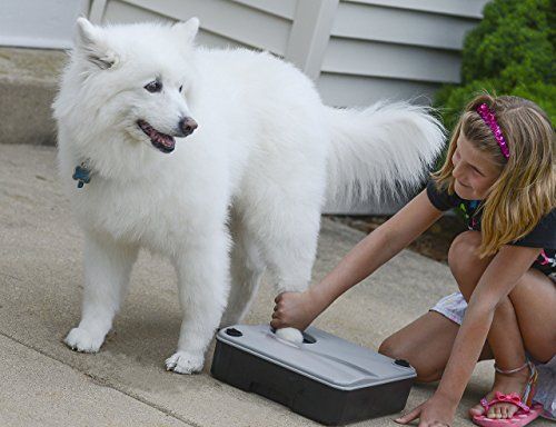 SKI Innovations Paw Boss Wash за кучета