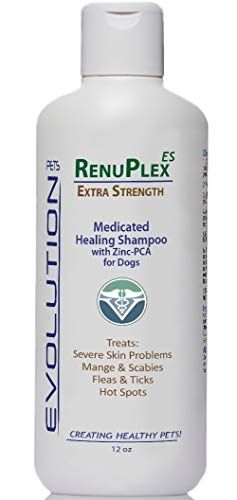RenuPlex medicinski šampon za pse. Šampon z visoko močjo za pse odpravlja mange, kraste in hude težave s kožo. Naravni šampon za pse. Brezpogojna garancija. Narejeno v ZDA…