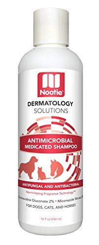 Medikovaný šampón pre psy: Antifungálny, antibakteriálny šampón pre psy - napeňte a potom opláchnite, aby ste zmiernili podráždenie a posilnili srsť - šampón pre domáce zvieratá funguje aj na mačky a kone - najlepší šampón pre psov na zdravie