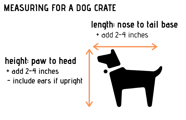 قياس مقابل قفص الكلب