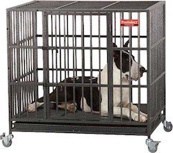 cage pour chien proselect