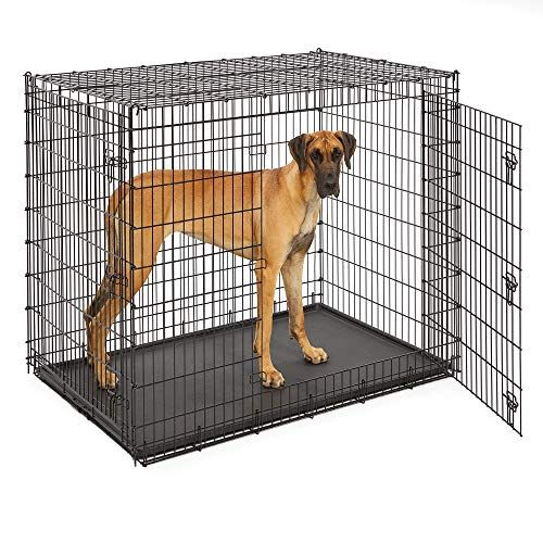 Midwest SL54DD Ginormus divdurvju suņu kaste XXL lielākajām suņu šķirnēm, dogi, mastifs, Sanbernārs