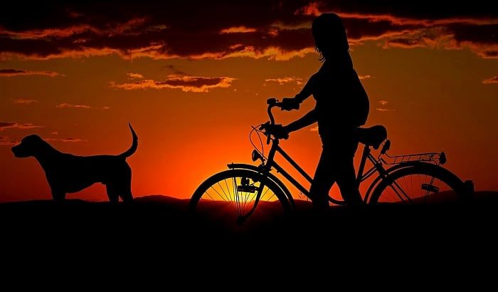 A legjobb kutyapóráz kerékpározáshoz: Fido vontatása