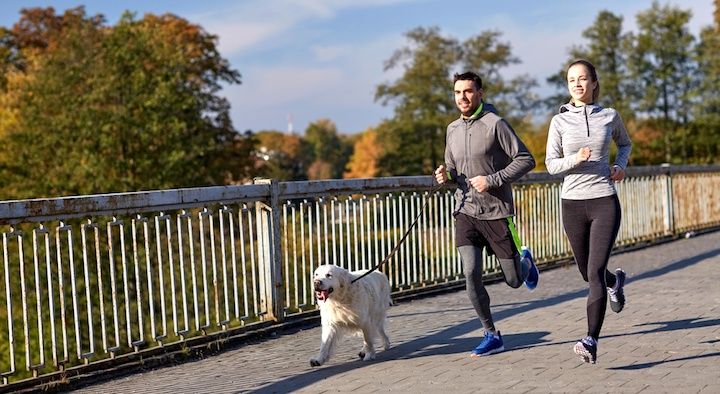 5 parimat käed-vabad koerte jalutusrihma: jooksmine krossiga koertega!