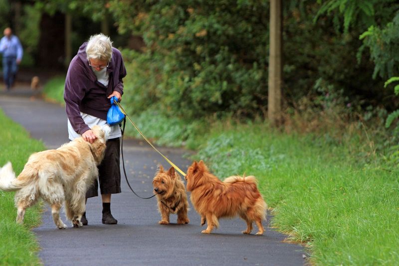 Īpaši apsvērumi vecāka gadagājuma cilvēkiem, kas pastaigājas ar suņiem