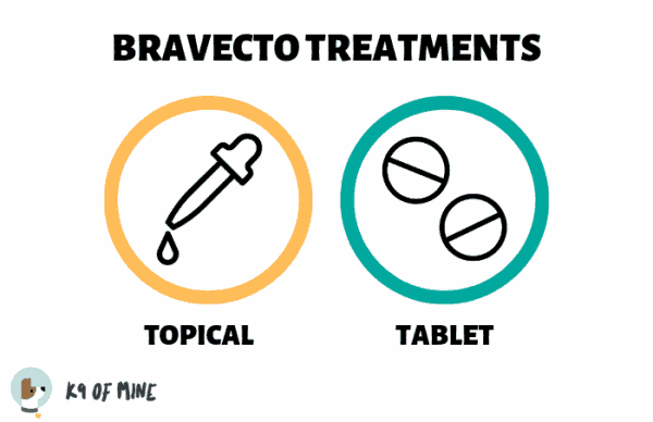 bravecto-θεραπείες