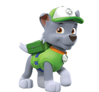 rocky-pup-patrol