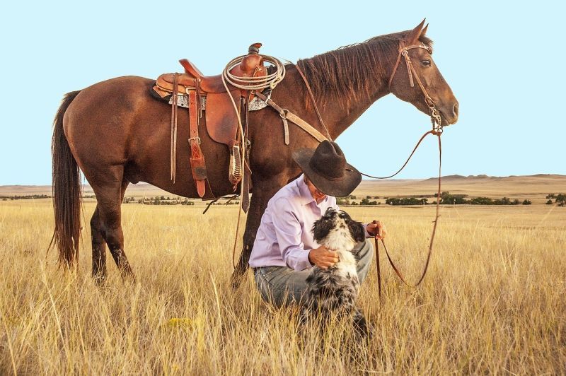 Hund hilft seinem Cowboy-Vater