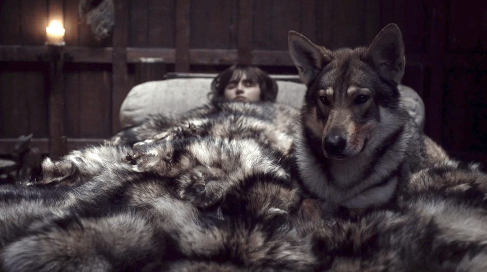 Über 100 Ideen für Game of Thrones-Hundenamen