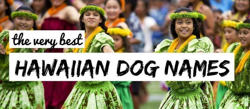 имена на хавайски кучета