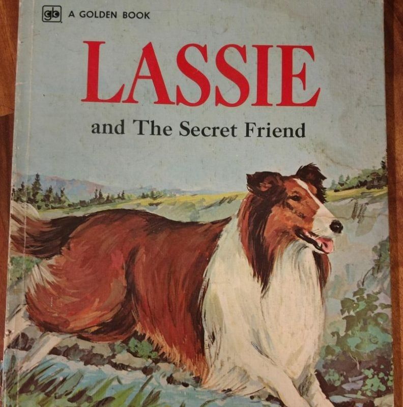 Lassie-Buch