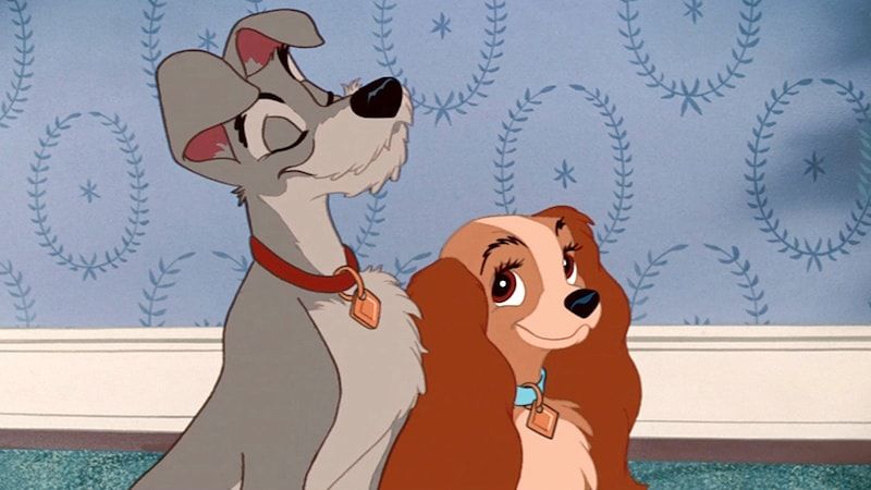 Plus de 130 noms de chiens Disney : des noms de contes de fées pour Fido !