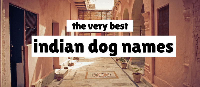भारतीय कुत्ते के नाम
