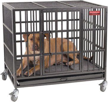 SMONTER Heavy Duty Dog Crate Parc pour chenil pour animaux de compagnie en métal solide
