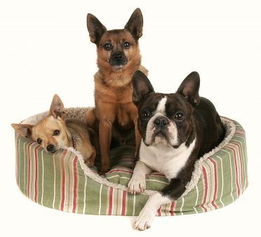 K&H Thermo-Pet Cuddle Cushion Кровать для домашних животных