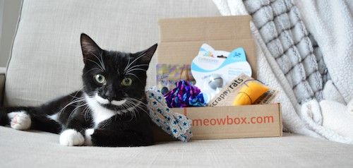 meowbox -tarkastelulaatikko