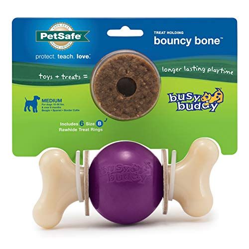 PetSafe Busy Buddy Bouncy Bone, Treat Holding Dog Toy, Medium