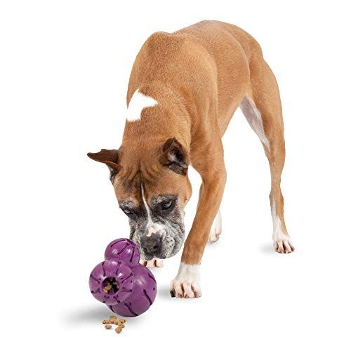 PetSafe Busy Buddy Barnacle - koera närimismänguasi - koerte mänguasjade väljastamine