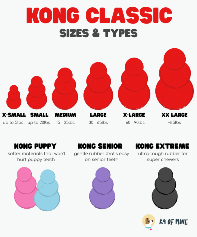 Tableau des tailles de Kong : choisir le meilleur Kong pour votre chien