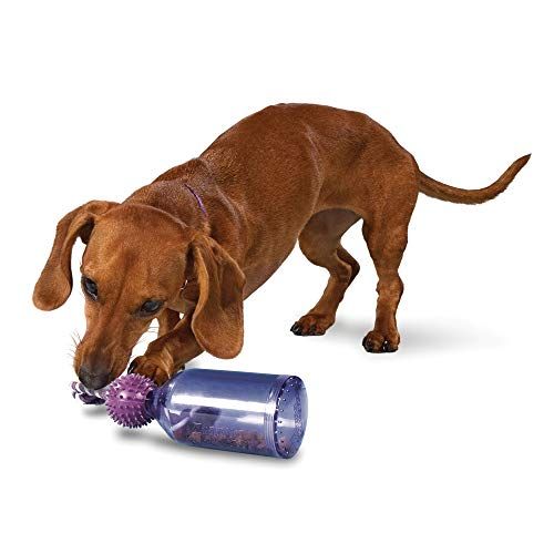„Premier Pet PetSafe Busy Buddy Tug-A-Jug“ valgio šuns žaislų naudojimas su „Kibble“ ar skanėstais