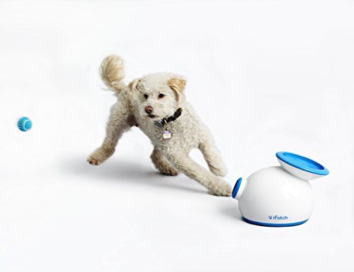 Lanceur de balle interactif iFetch pour chiens - Lance des mini balles de tennis, petites, multicolores