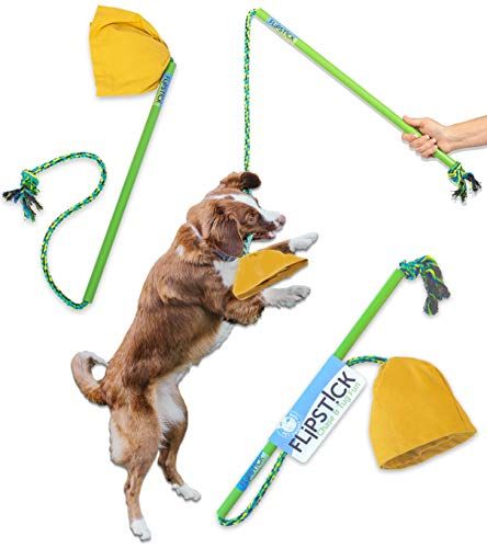 Pet Qwerks Flipstick Chase & Tug Interactive Dog Flirt Pole - Dog Teaser Wand, Dangling Tether Dog Toy, Tránh buồn chán, Giữ cho chó hoạt động, cũng là món đồ chơi tuyệt vời cho hai chú chó chơi cùng nhau