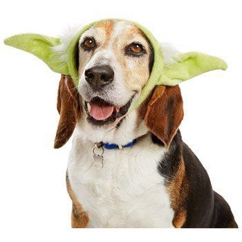 Kostým pre domácich miláčikov Yoda - malý/stredný