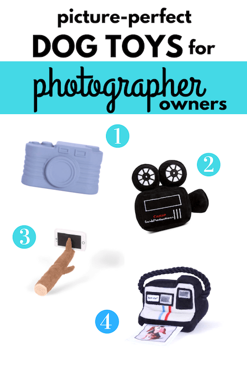 Лучшие игрушки для собак с камерой для владельцев фотографов