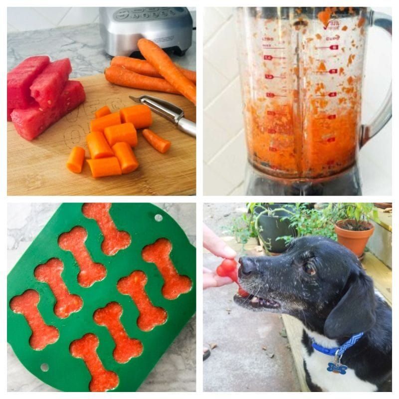 sucettes glacées à la pastèque et à la carotte pour chiens